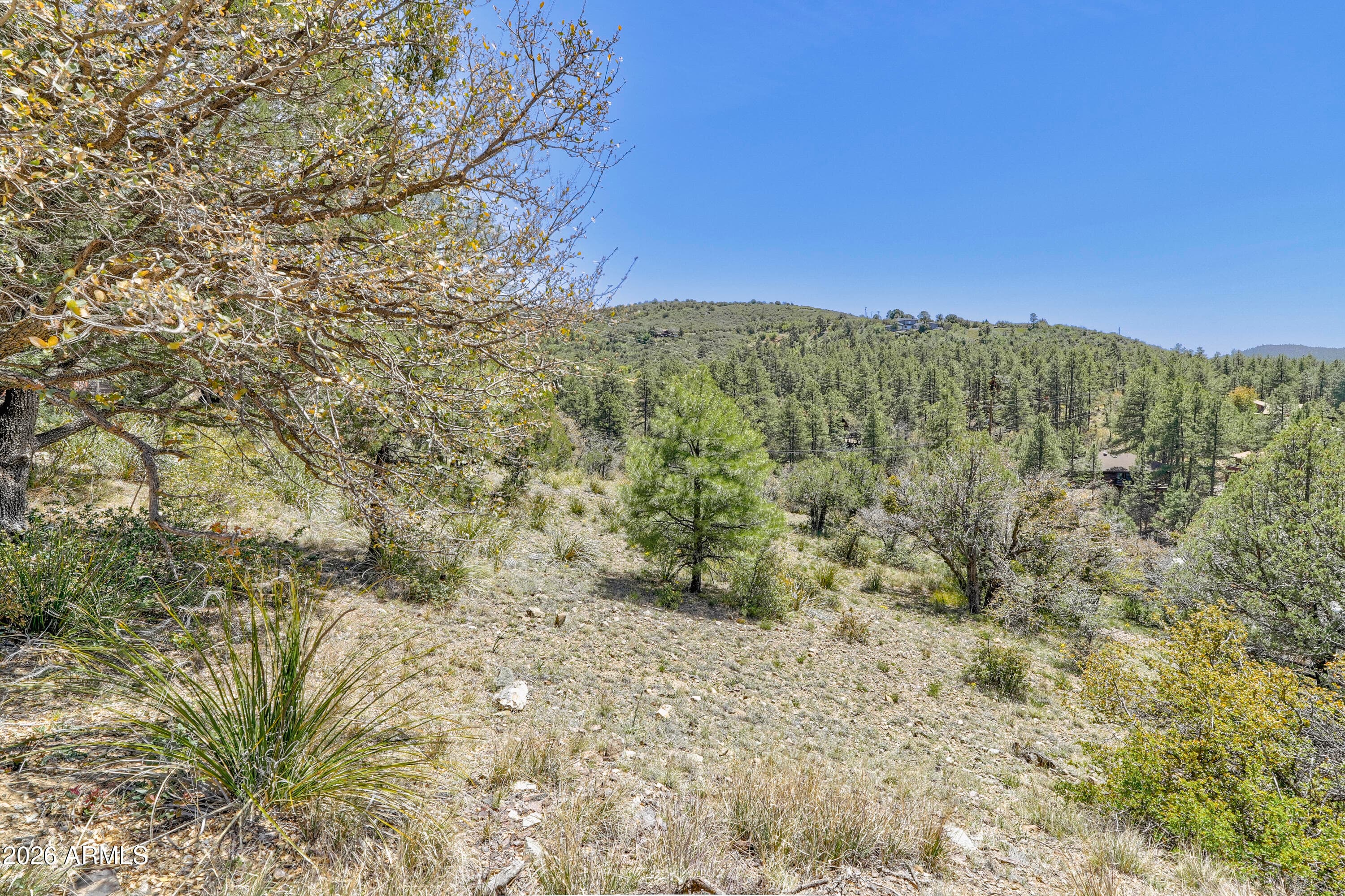 155 PARTRIDGE Lane, Prescott, AZ 86303 — photo 50 of 60