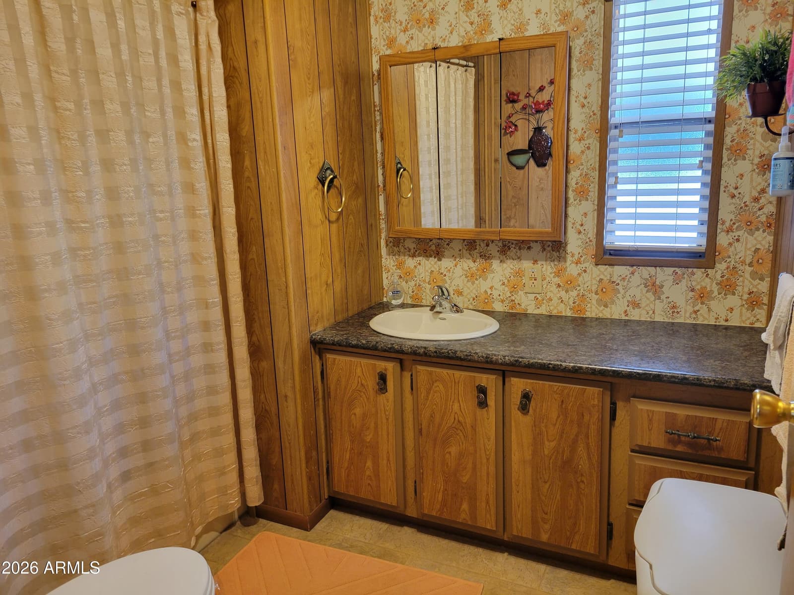 2460 E Main Street B6, Mesa, AZ 85213 — photo 15 of 19