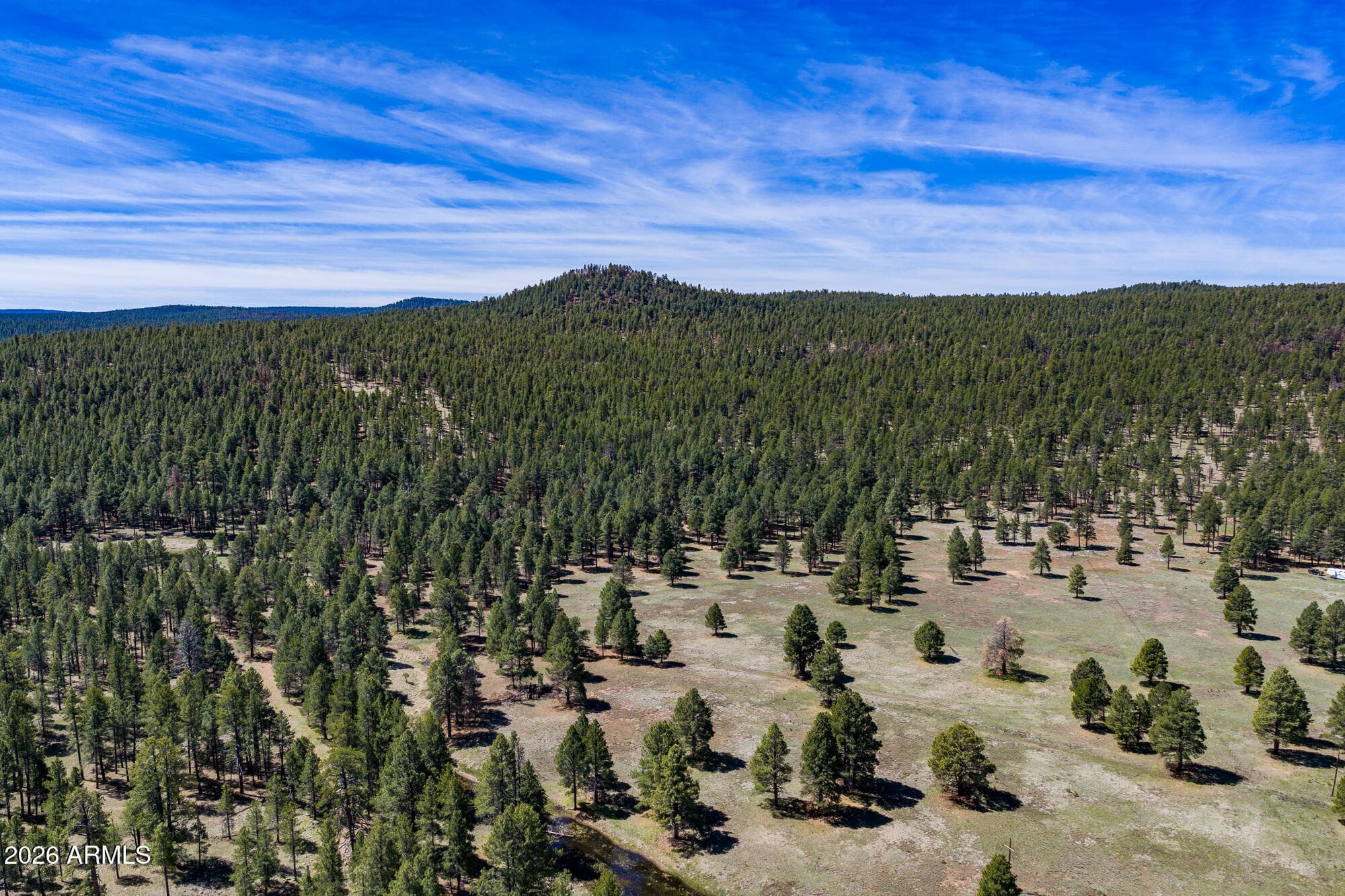 902 FULTON SPRINGS Drive, Mormon Lake, AZ 86038 — photo 105 of 110