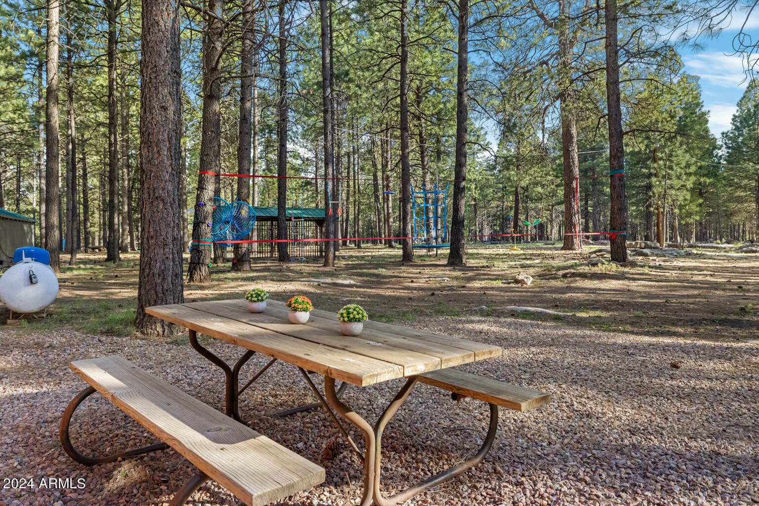 668 Mule Springs Trail, Forest Lakes, AZ 85931 — photo 25 of 40