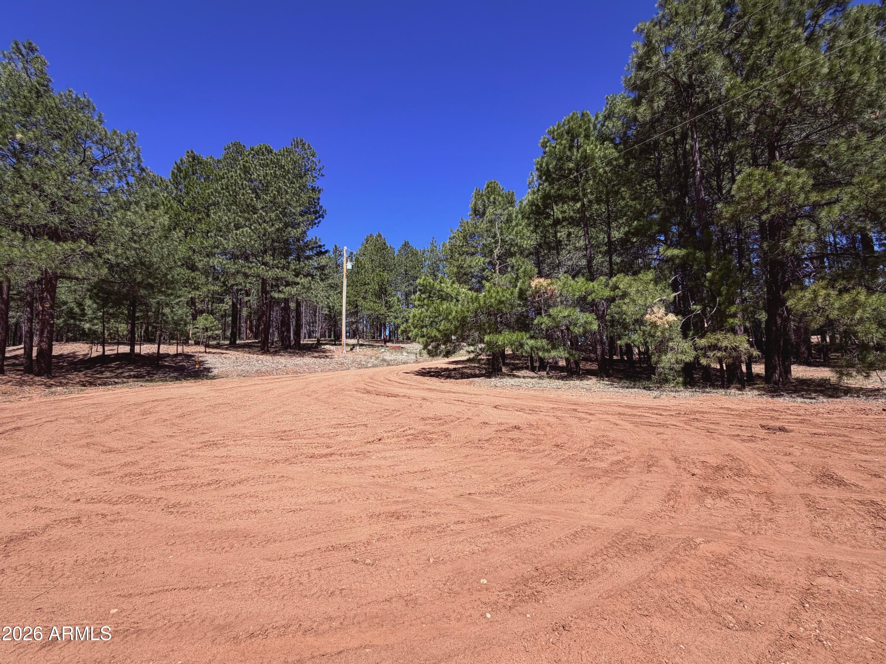 1053 POND Circle, Forest Lakes, AZ 85931 — photo 46 of 48