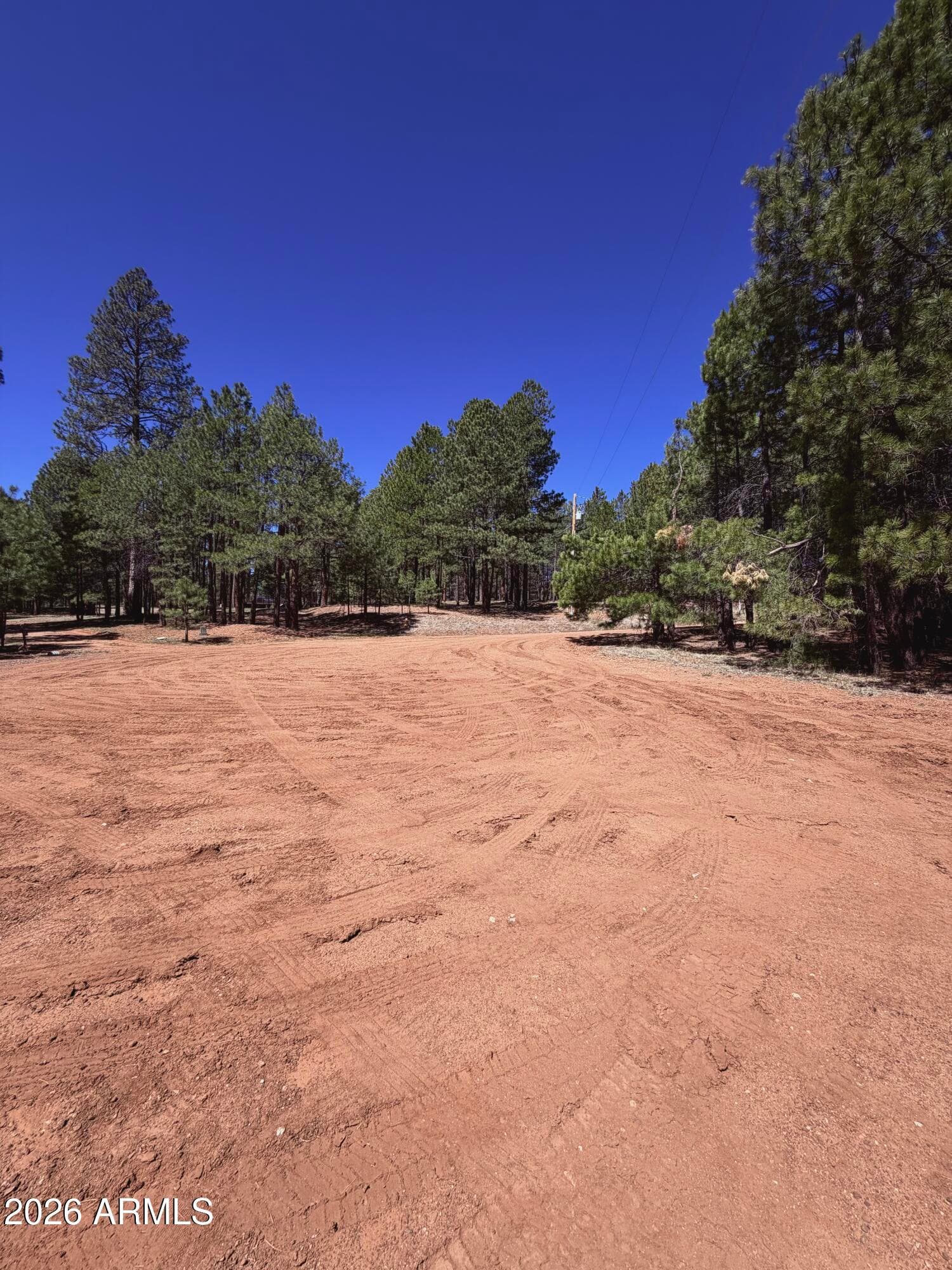 1053 POND Circle, Forest Lakes, AZ 85931 — photo 47 of 48