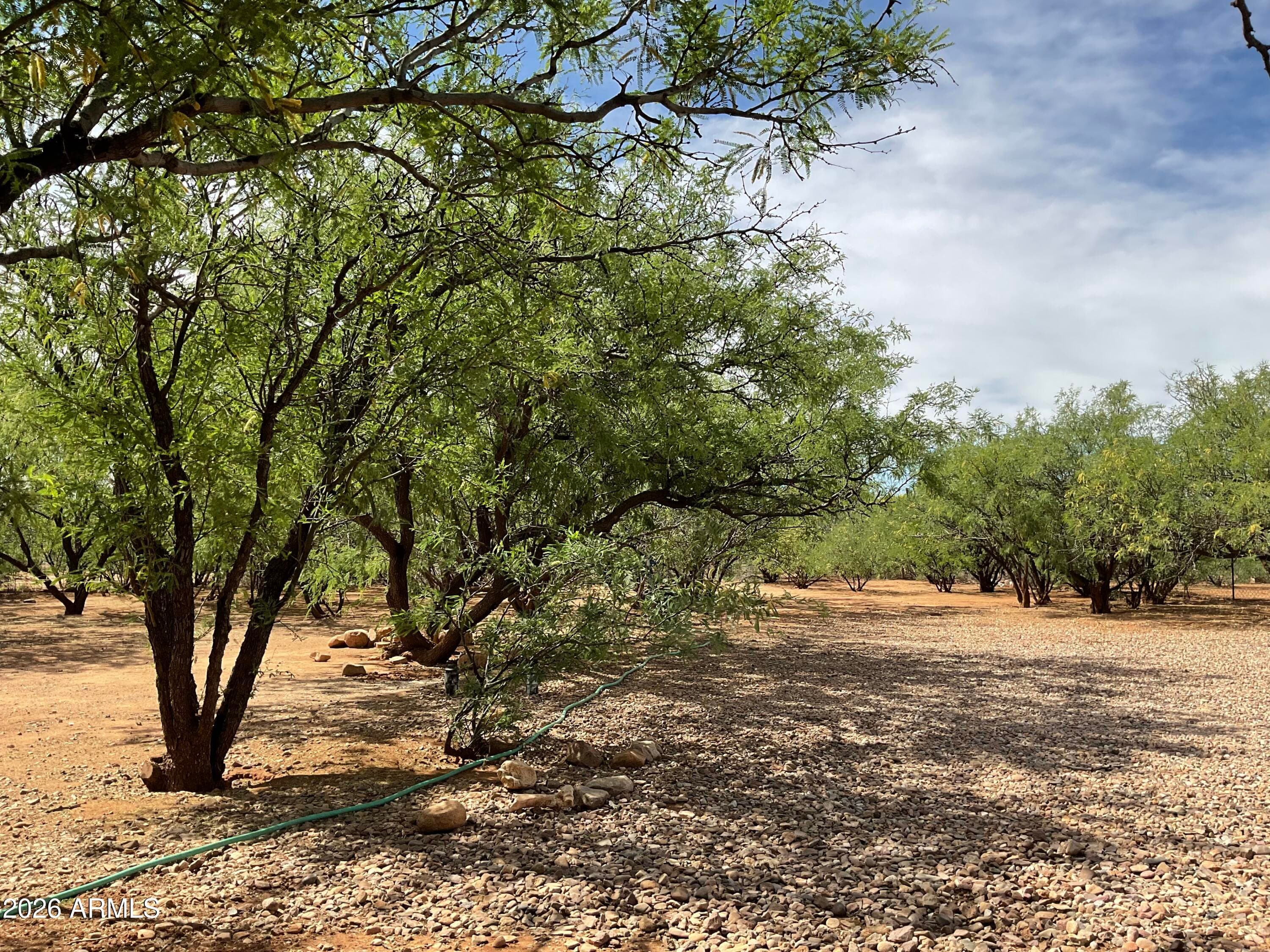7011 S PINTEK Lane, Hereford, AZ 85615 — photo 13 of 32