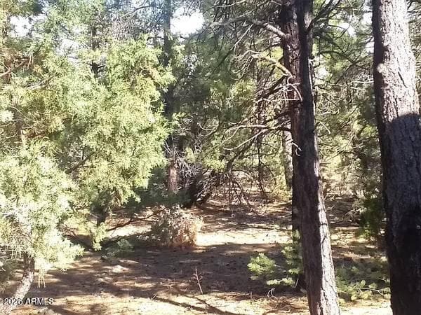 3 COUNTY ROAD N3302 Road, Vernon, AZ 85940 — photo 18 of 21