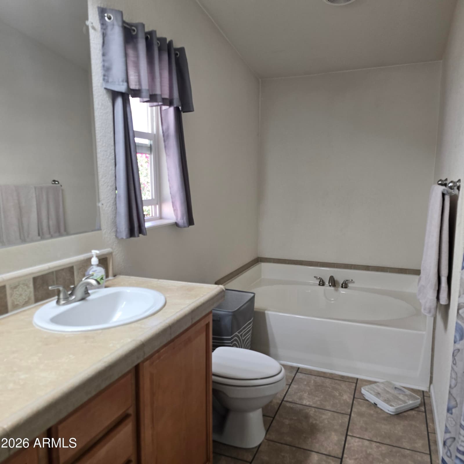 16101 N EL MIRAGE Road 342, El Mirage, AZ 85335 — photo 17 of 39
