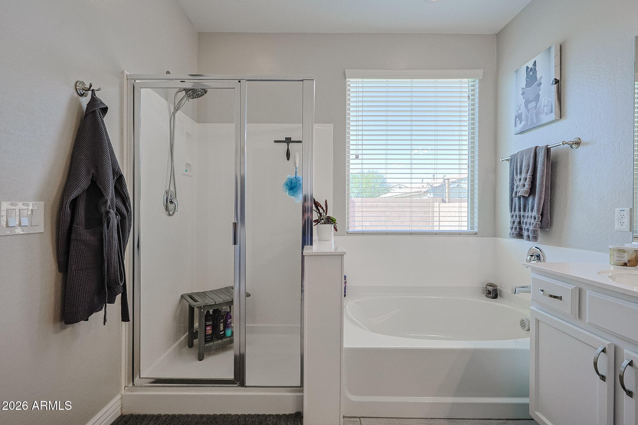 18386 W ILLINI Street, Goodyear, AZ 85338 — photo 37 of 50