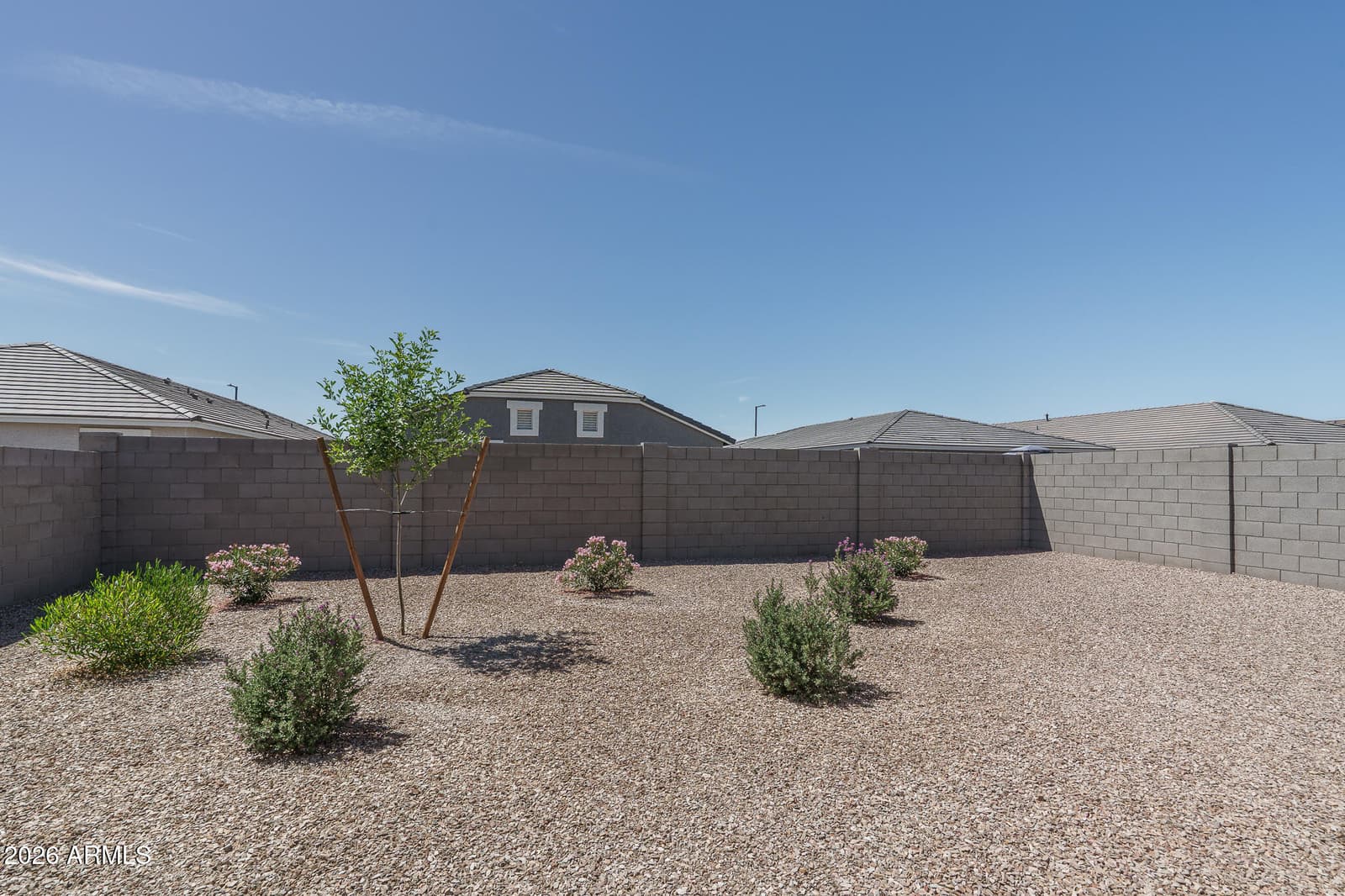 25455 W GRAHAM Trail, Buckeye, AZ 85326 — photo 25 of 38