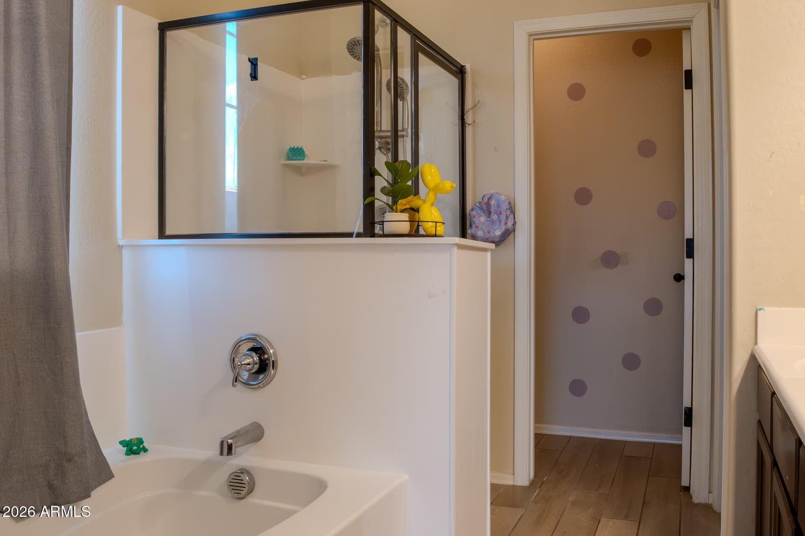 12214 W SUPERIOR Avenue, Tolleson, AZ 85353 — photo 10 of 19
