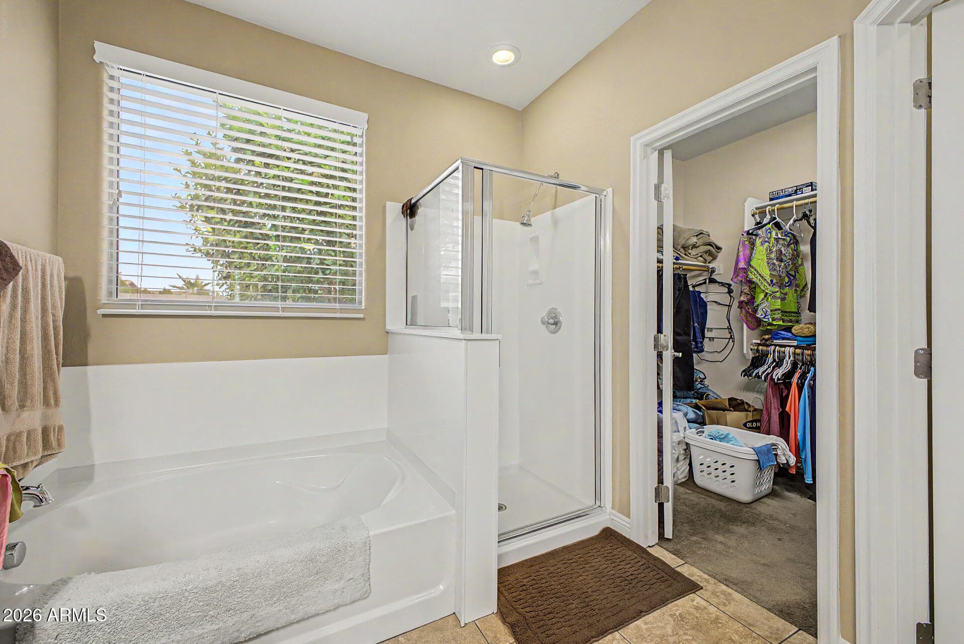 1266 E EUCALYPTUS Lane, San Tan Valley, AZ 85143 — photo 19 of 40