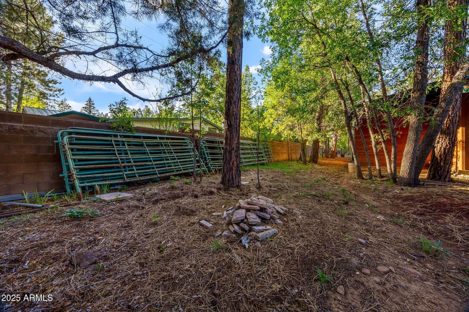 2332 HALL Drive, Lakeside, AZ 85929 — photo 54 of 97