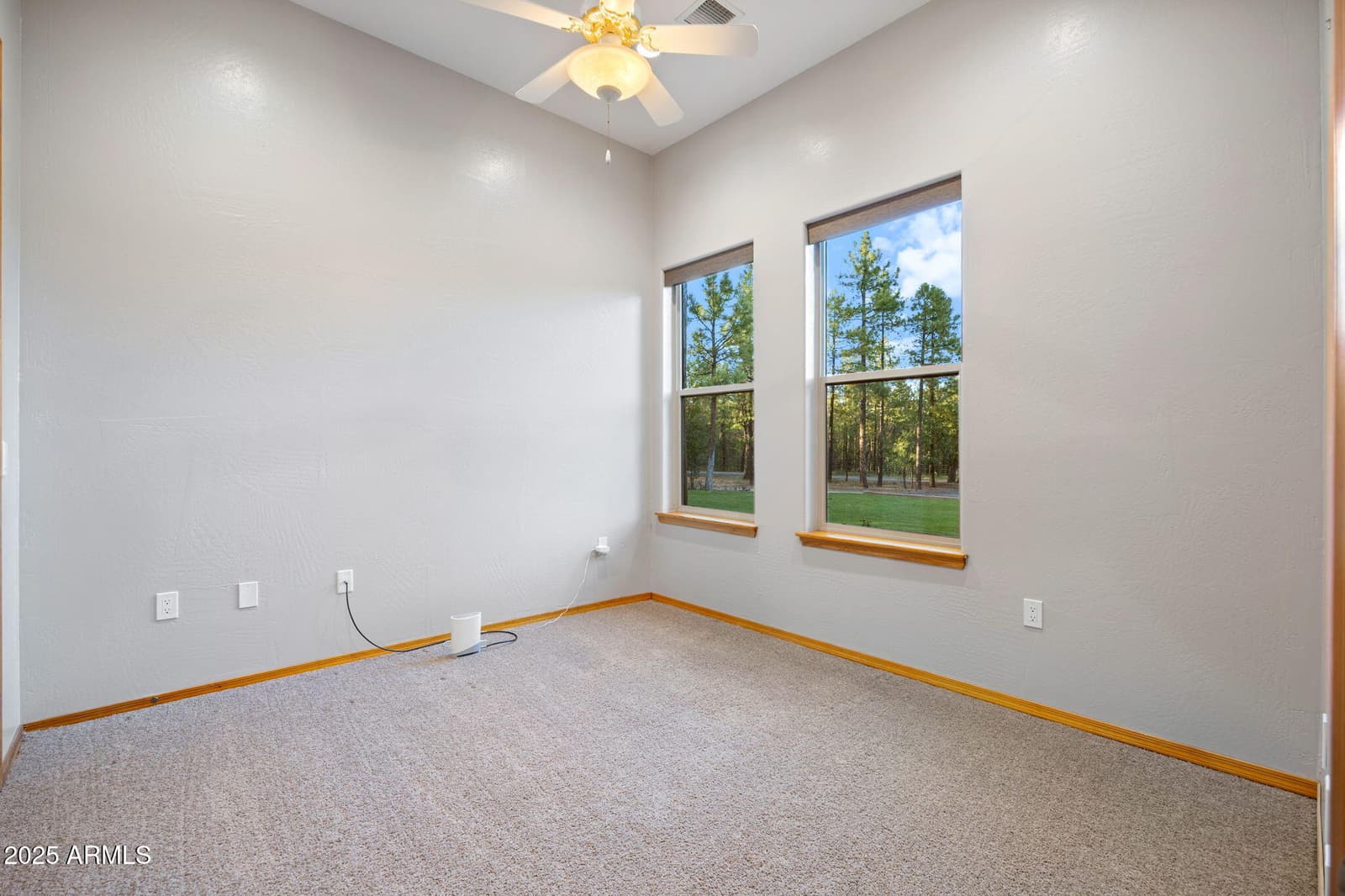 2332 HALL Drive, Lakeside, AZ 85929 — photo 40 of 97