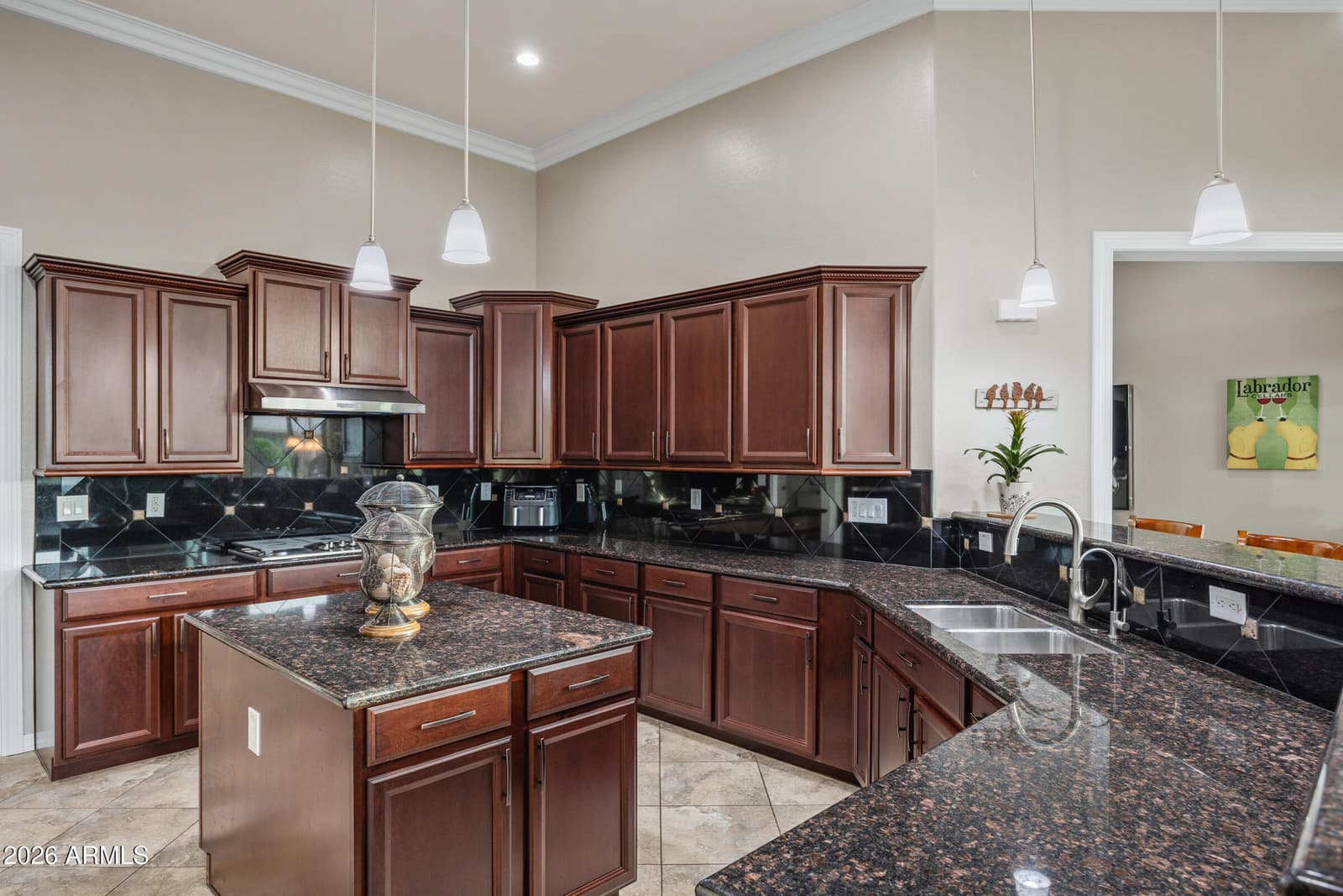 42584 W MALLARD Lane, Maricopa, AZ 85138 — photo 10 of 77