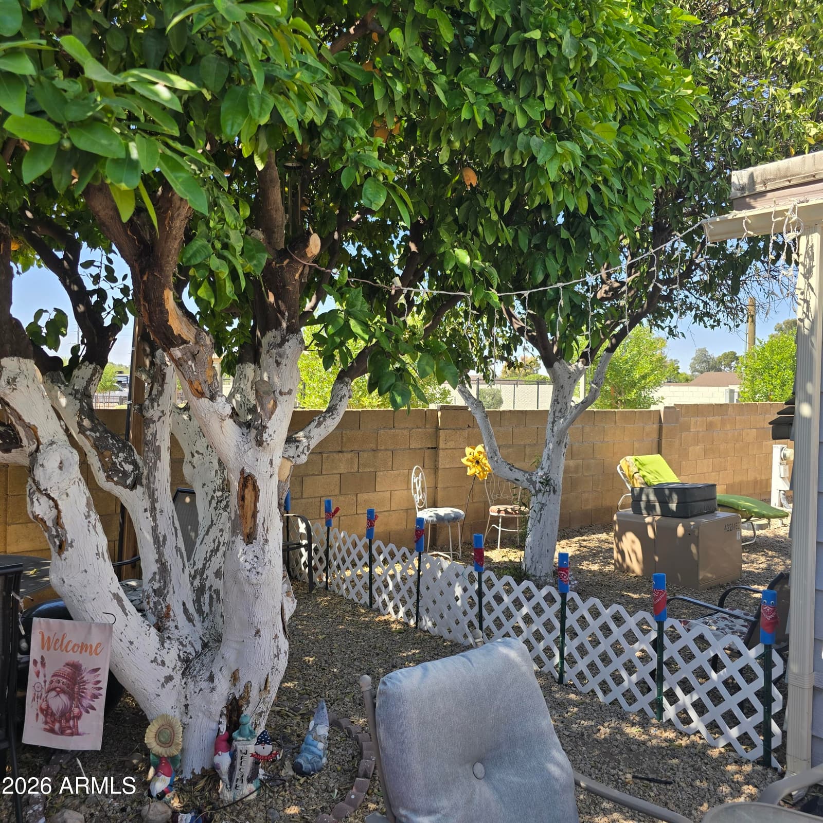 10201 N 99TH Avenue 171I, Peoria, AZ 85345 — photo 47 of 57