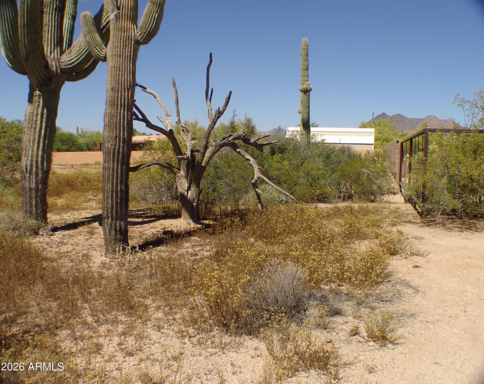 31607 N 64TH Street, Cave Creek, AZ 85331 — photo 7 of 14