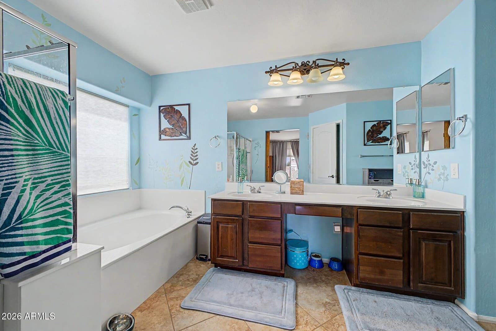 17513 W ANDORA Street, Surprise, AZ 85388 — photo 14 of 24
