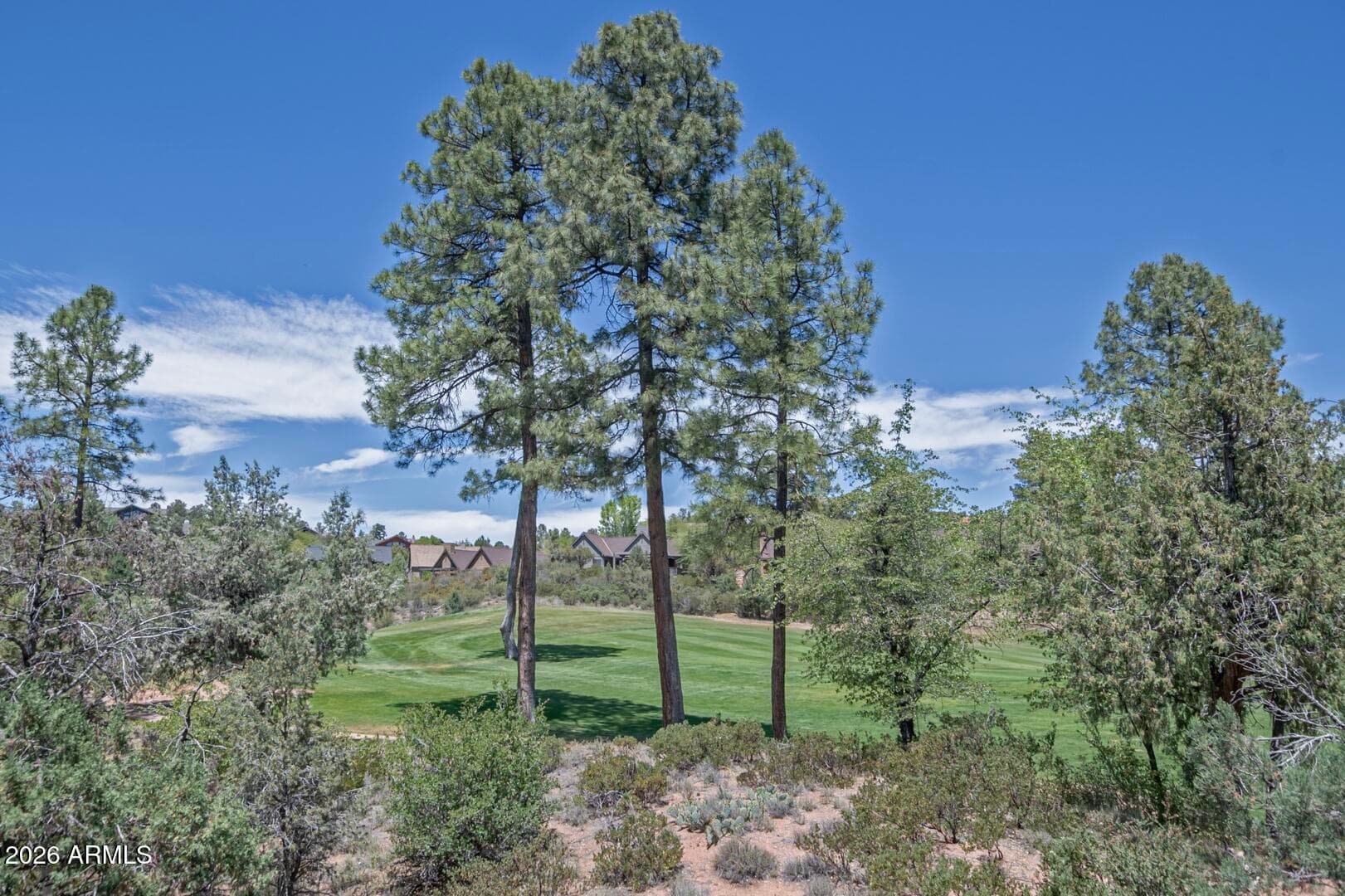 2406 E SCARLET BUGLER Circle, Payson, AZ 85541 — photo 14 of 87