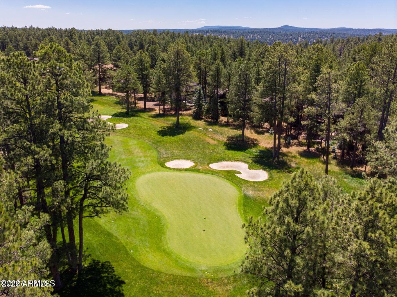 1673 JIM SIMMONS, Flagstaff, AZ 86005 — photo 53 of 66