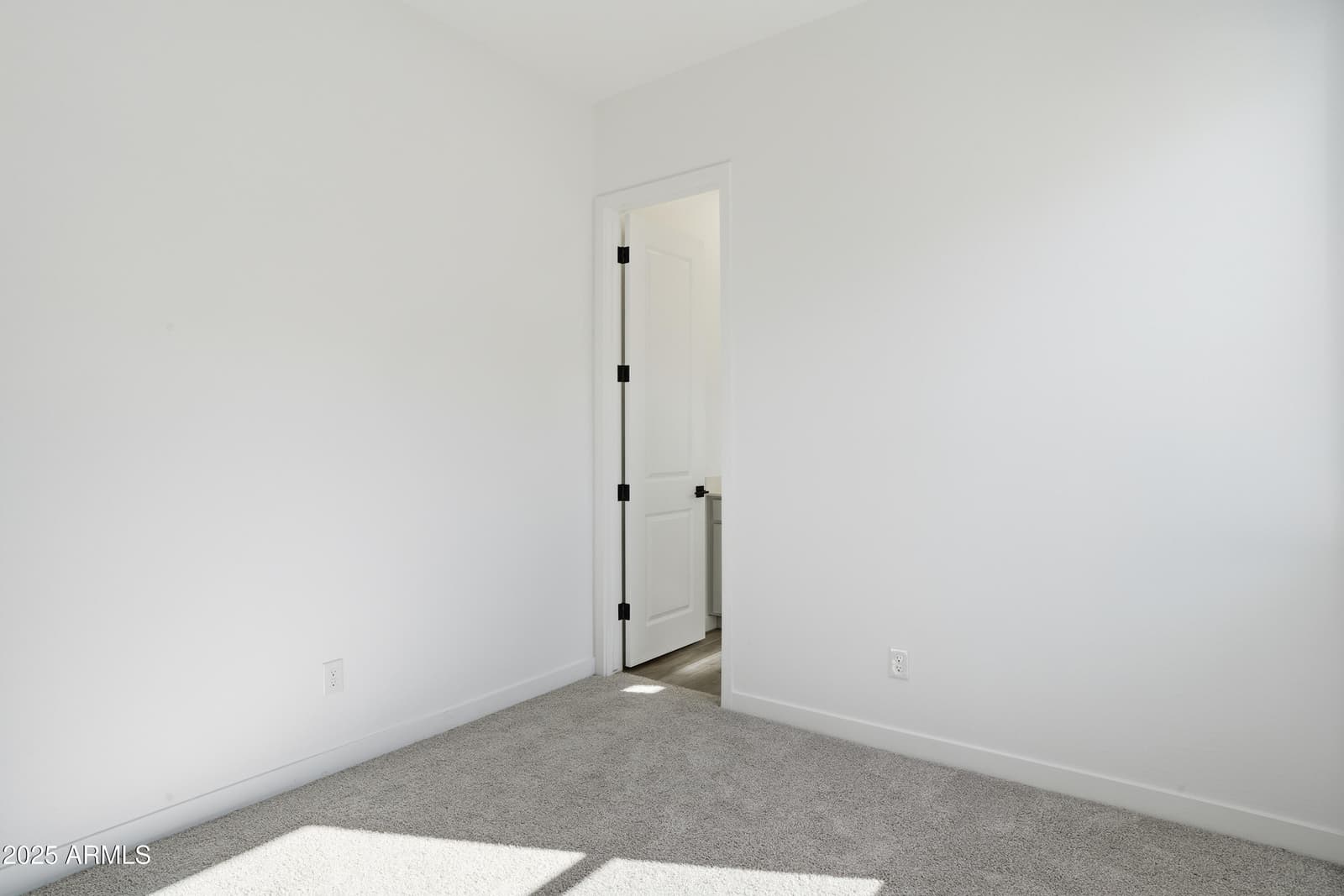 10309 S 20th Lane, Phoenix, AZ 85041 — photo 19 of 41