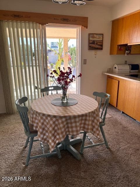 1379 S GRAND Drive, Apache Junction, AZ 85120 — photo 43 of 60