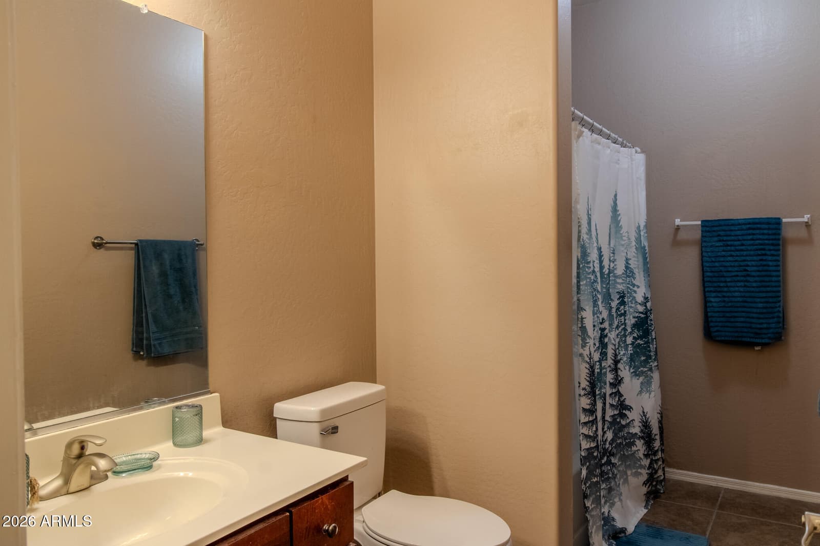 1294 W GREEN TREE Drive, San Tan Valley, AZ 85143 — photo 44 of 57