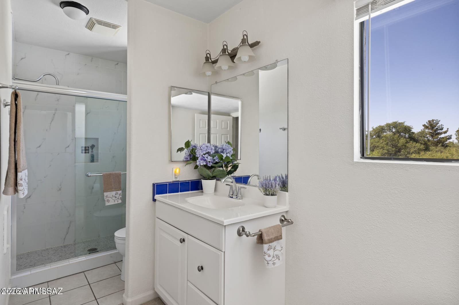 1045 E NUESTRO Street, Oracle, AZ 85623 — photo 28 of 50