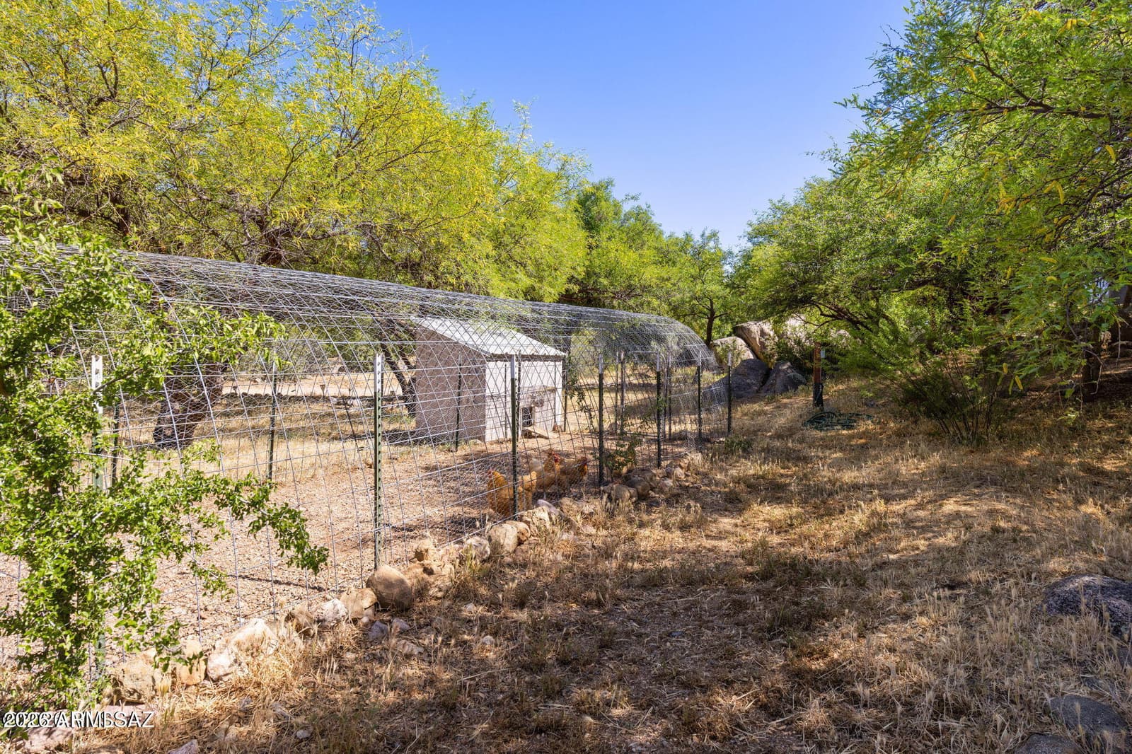 1045 E NUESTRO Street, Oracle, AZ 85623 — photo 48 of 50