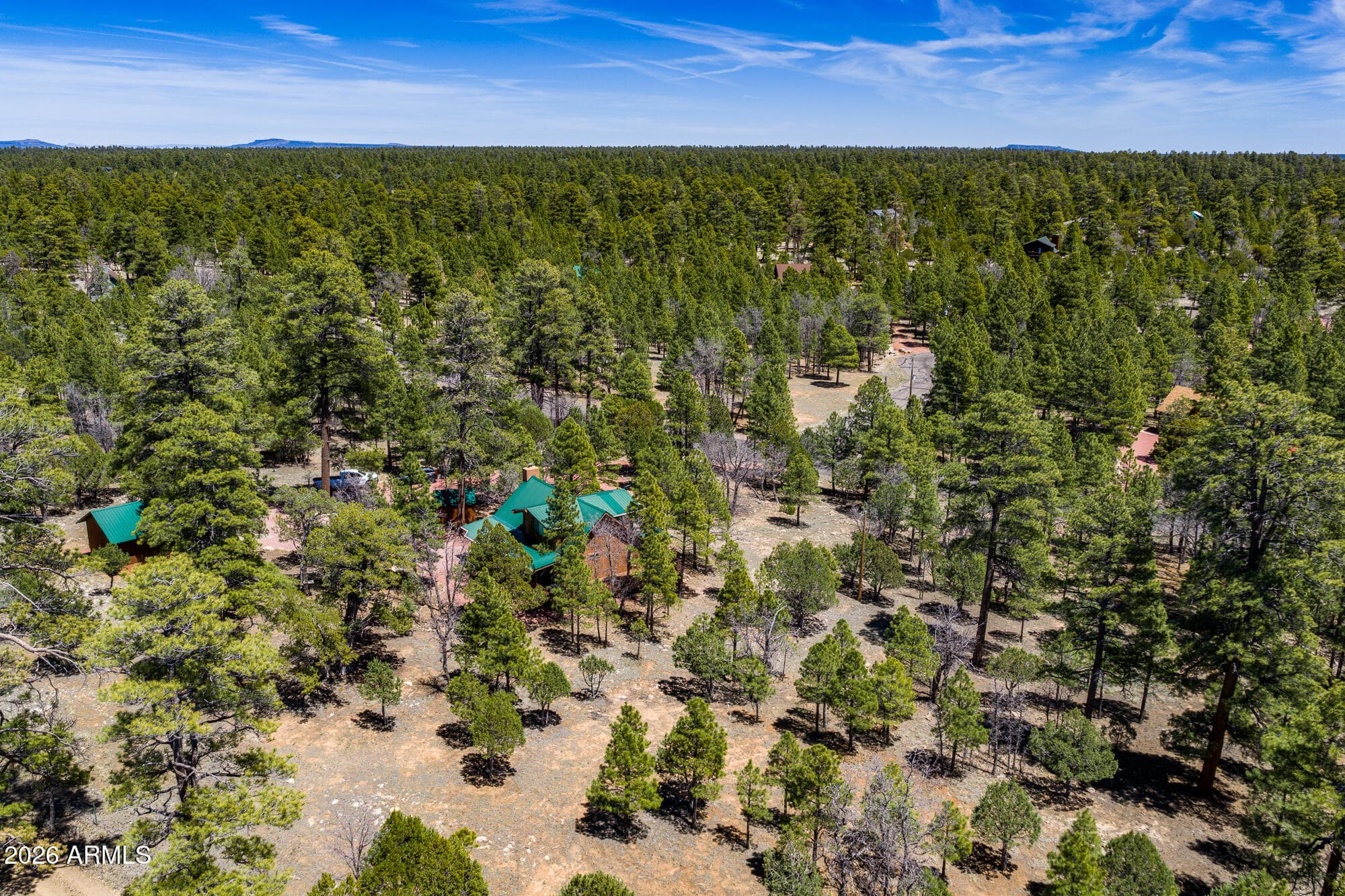 2154 SADDLE BLANKET Road, Happy Jack, AZ 86024 — photo 39 of 57