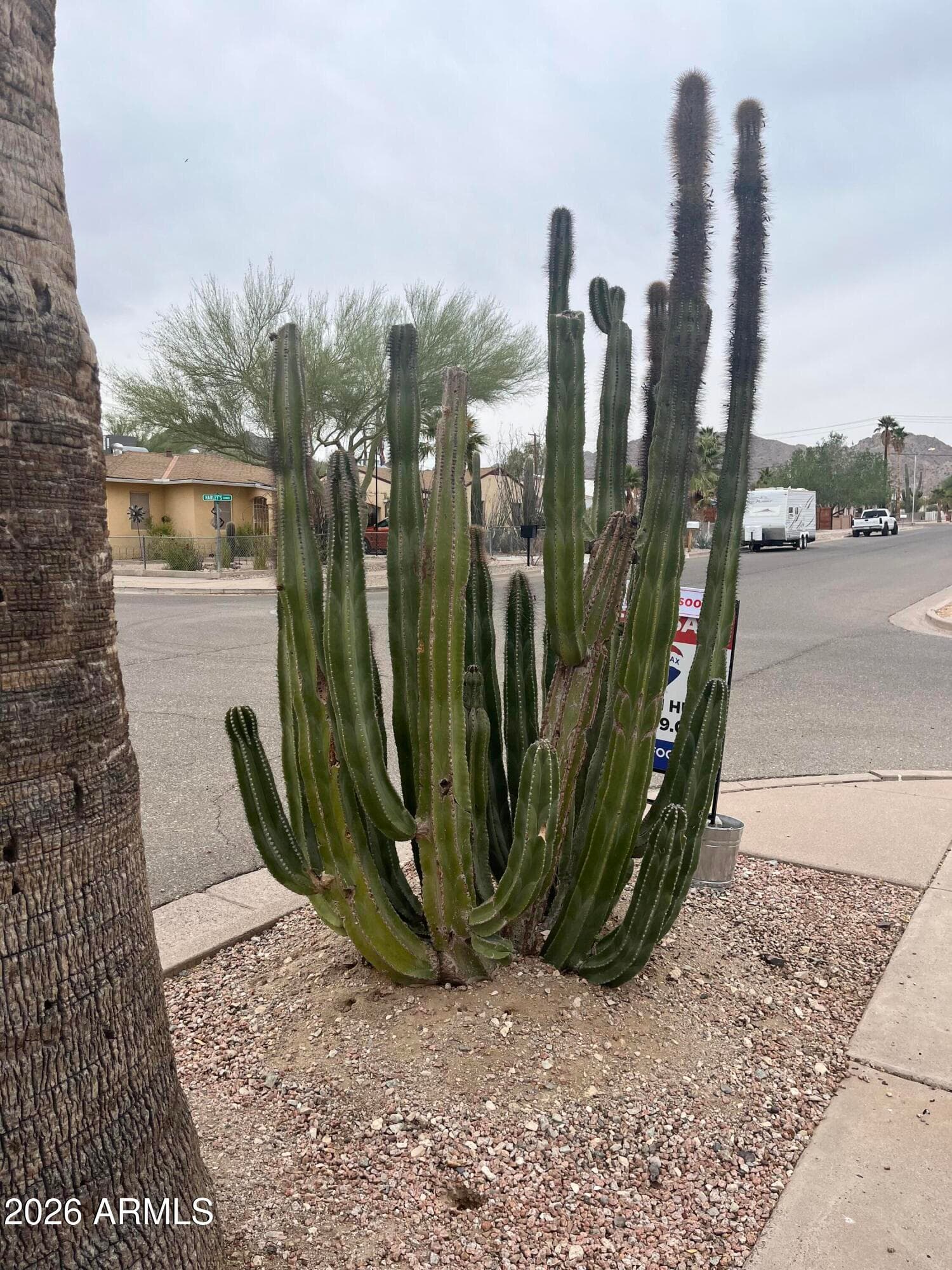 140 W 1ST Avenue, Ajo, AZ 85321 — photo 6 of 73