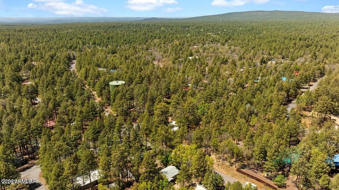 5801 APACHE Trail, Pinetop, AZ 85935 — photo 35 of 40