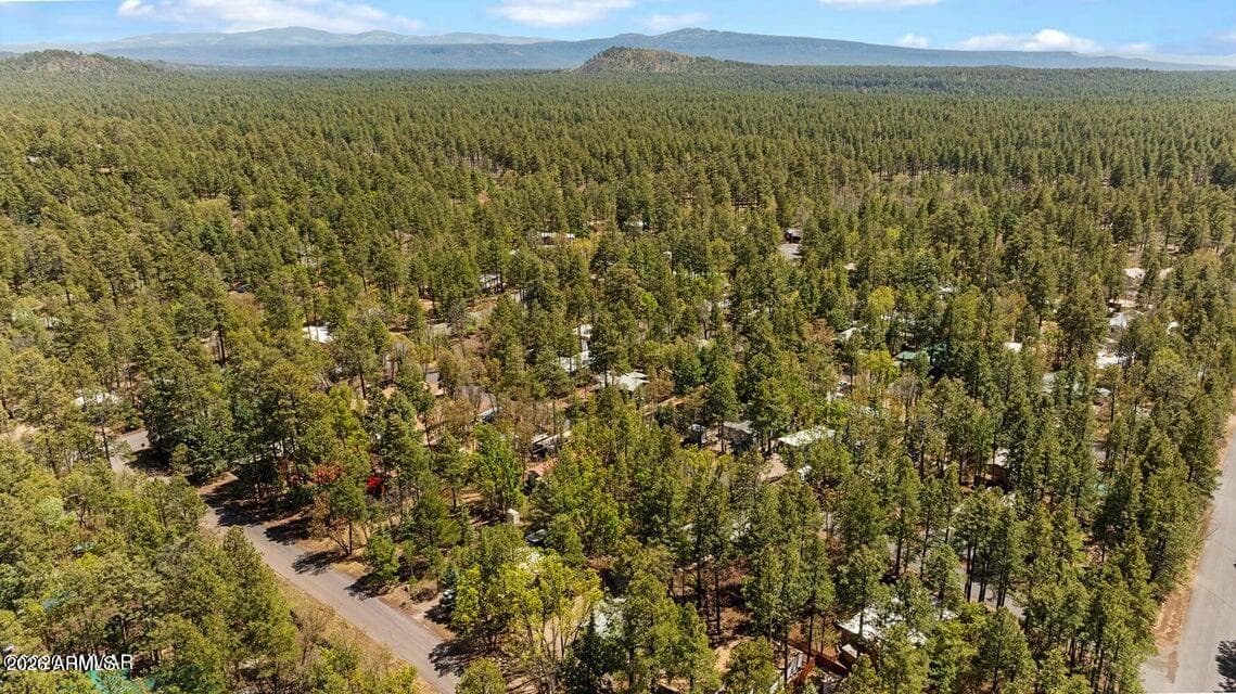 5801 APACHE Trail, Pinetop, AZ 85935 — photo 36 of 40