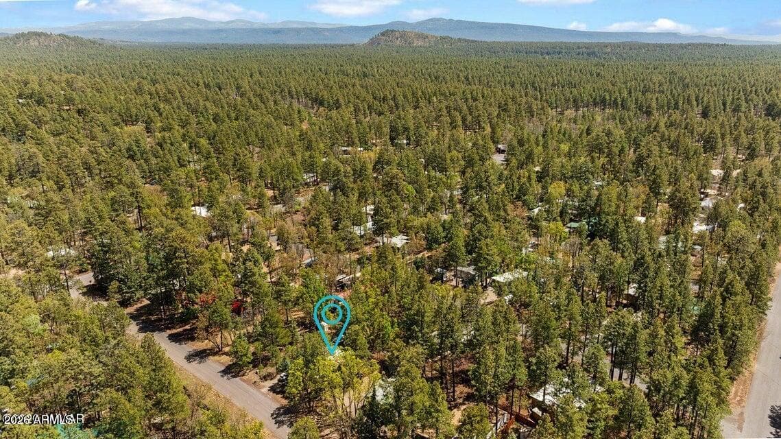 5801 APACHE Trail, Pinetop, AZ 85935 — photo 40 of 40
