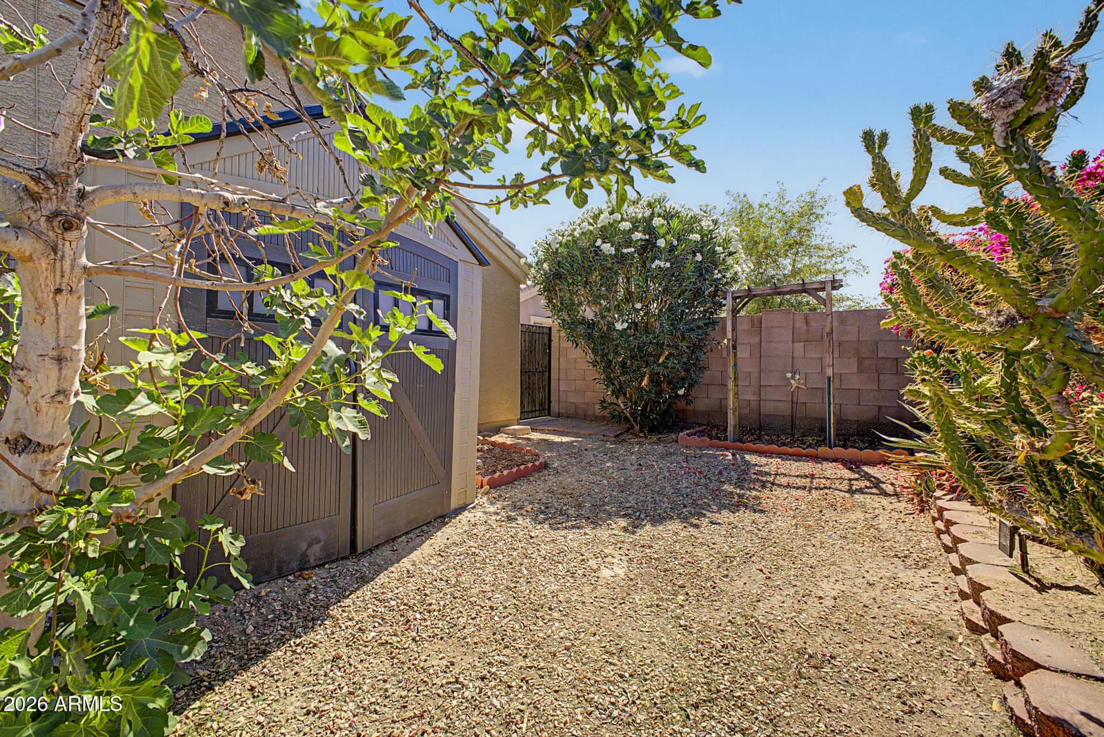 23948 W Hidalgo Avenue, Buckeye, AZ 85326 — photo 41 of 42