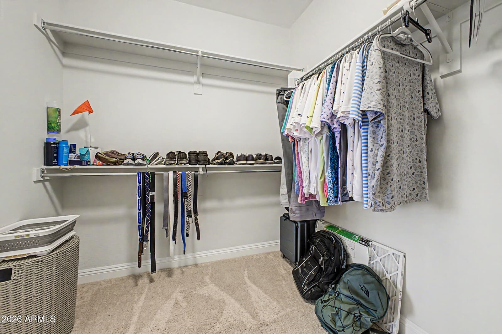 21628 N 268TH Drive, Buckeye, AZ 85396 — photo 30 of 49