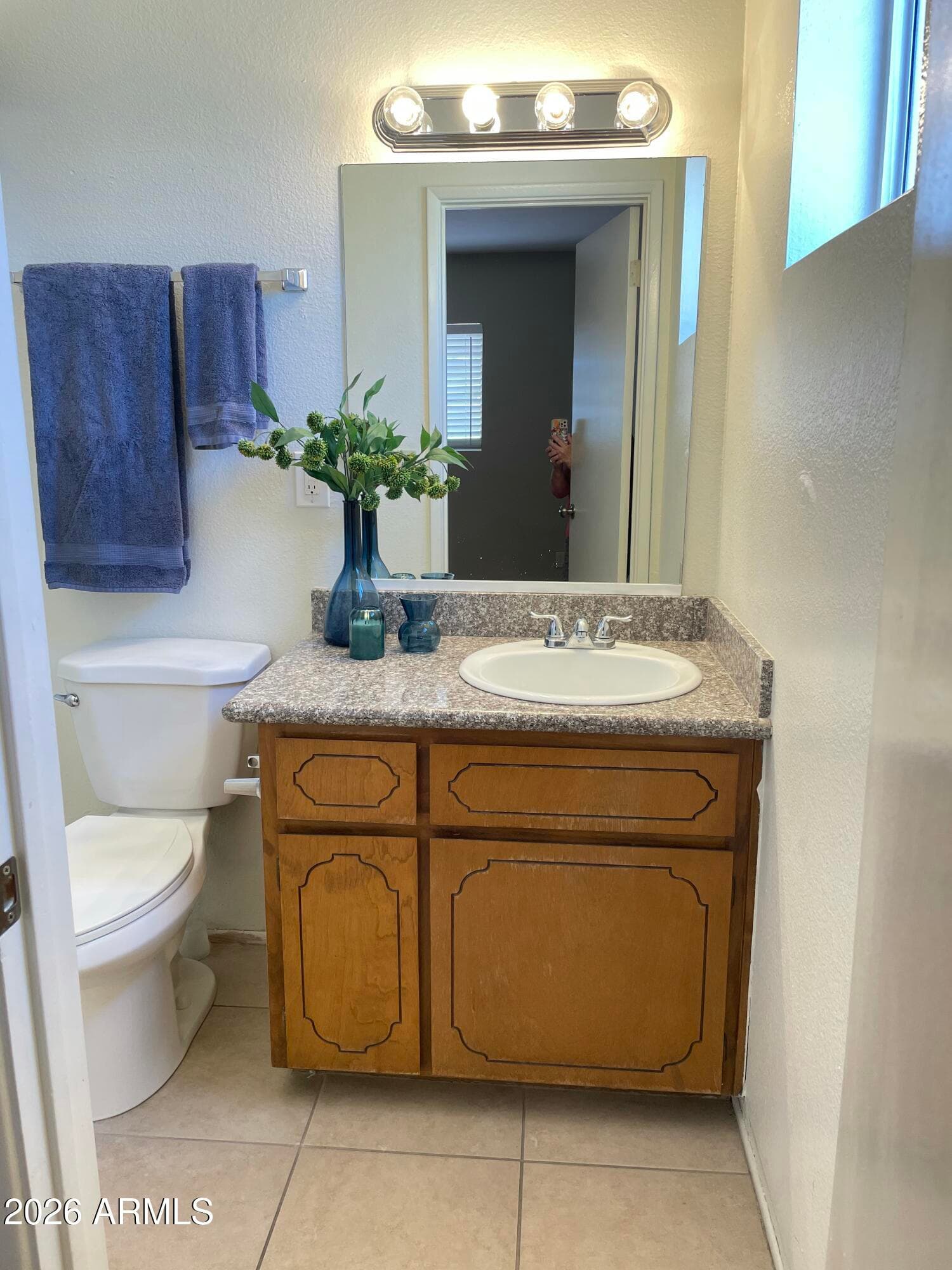 938 S PALO VERDE Drive, Apache Junction, AZ 85120 — photo 17 of 31