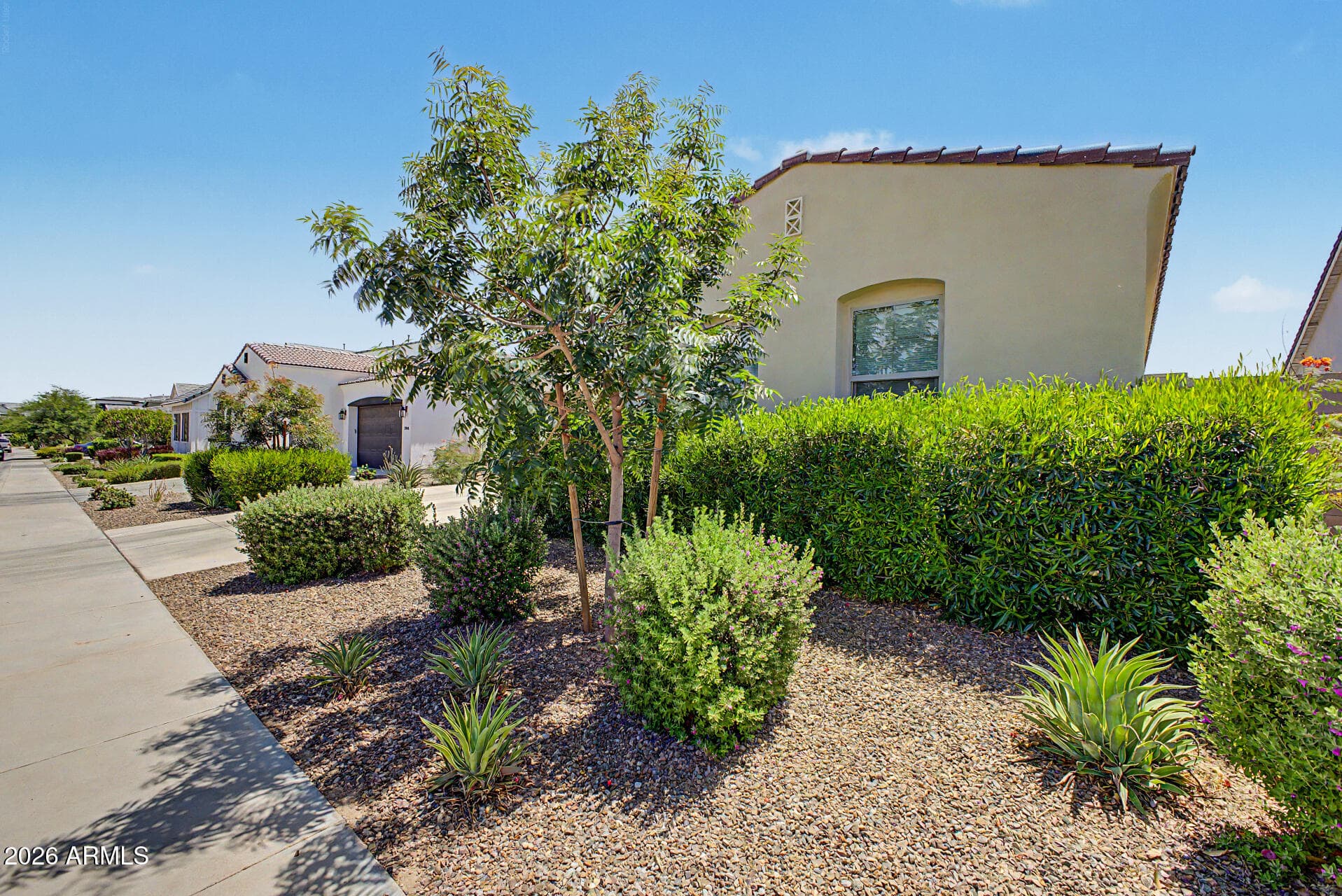 3983 W SERPENTINE Drive, San Tan Valley, AZ 85144 — photo 4 of 49