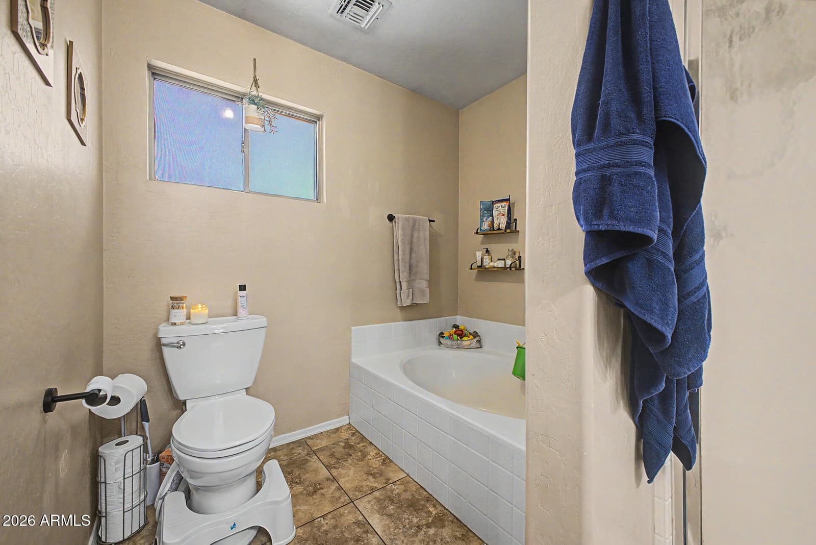 12605 W BOCA RATON Road W, El Mirage, AZ 85335 — photo 19 of 37