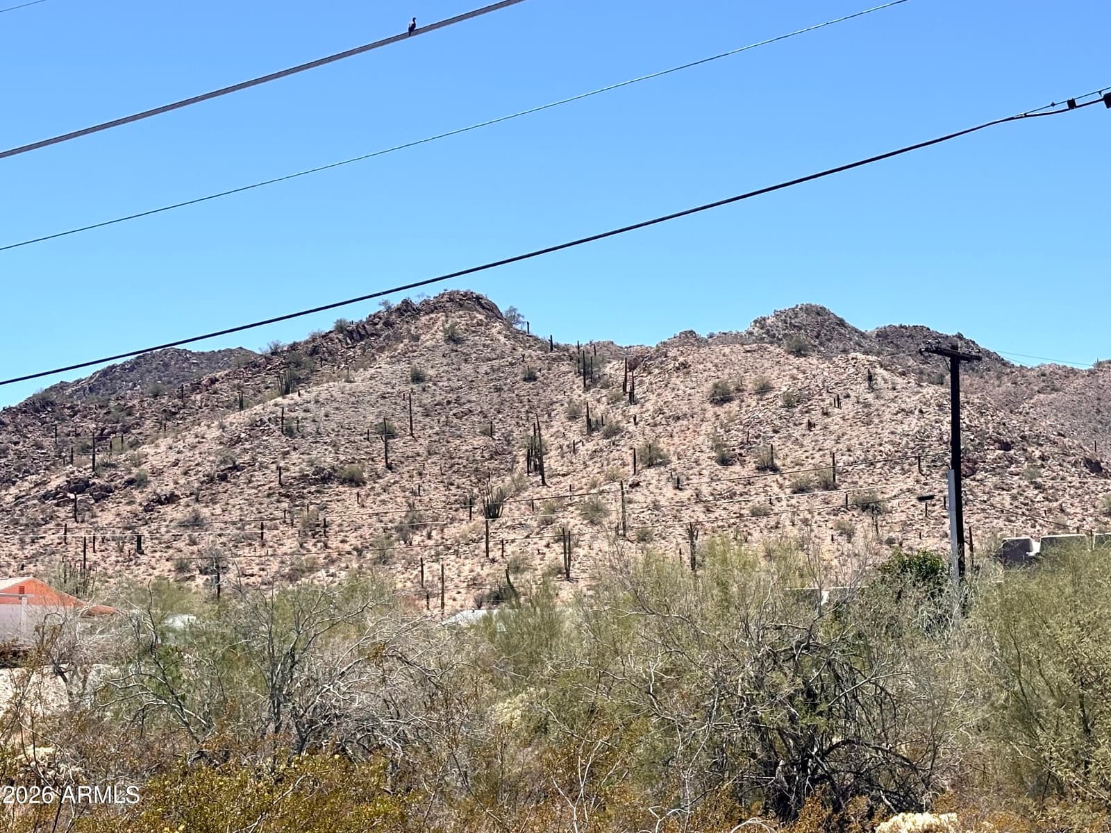 1601 W DORSEY Street, Ajo, AZ 85321 — photo 36 of 36