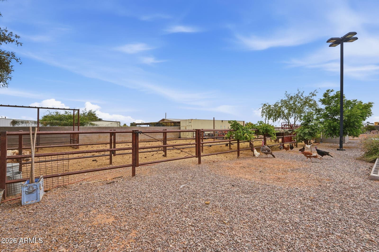 1251 E LOVELAND Lane, San Tan Valley, AZ 85140 — photo 102 of 110