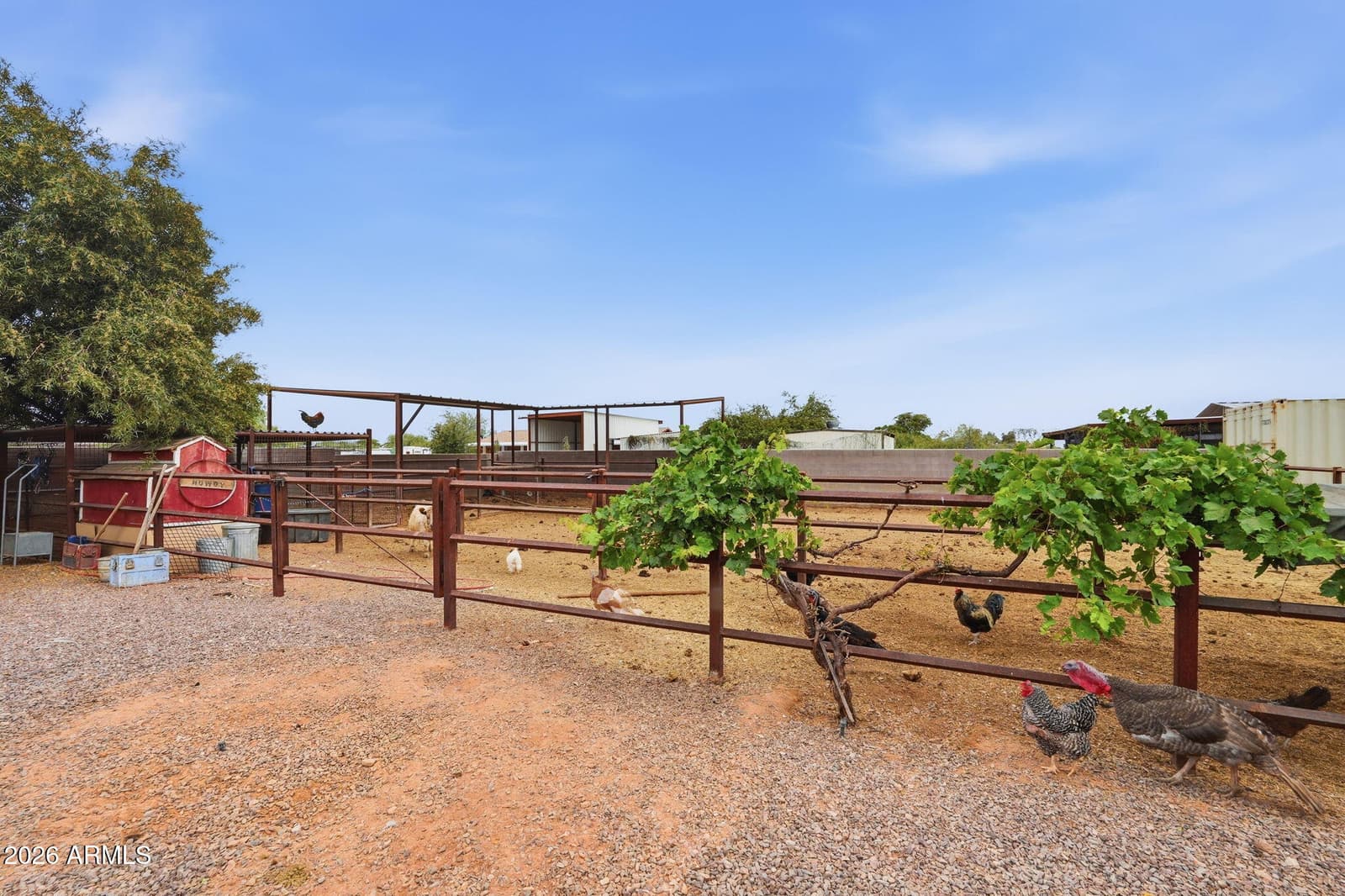 1251 E LOVELAND Lane, San Tan Valley, AZ 85140 — photo 103 of 110
