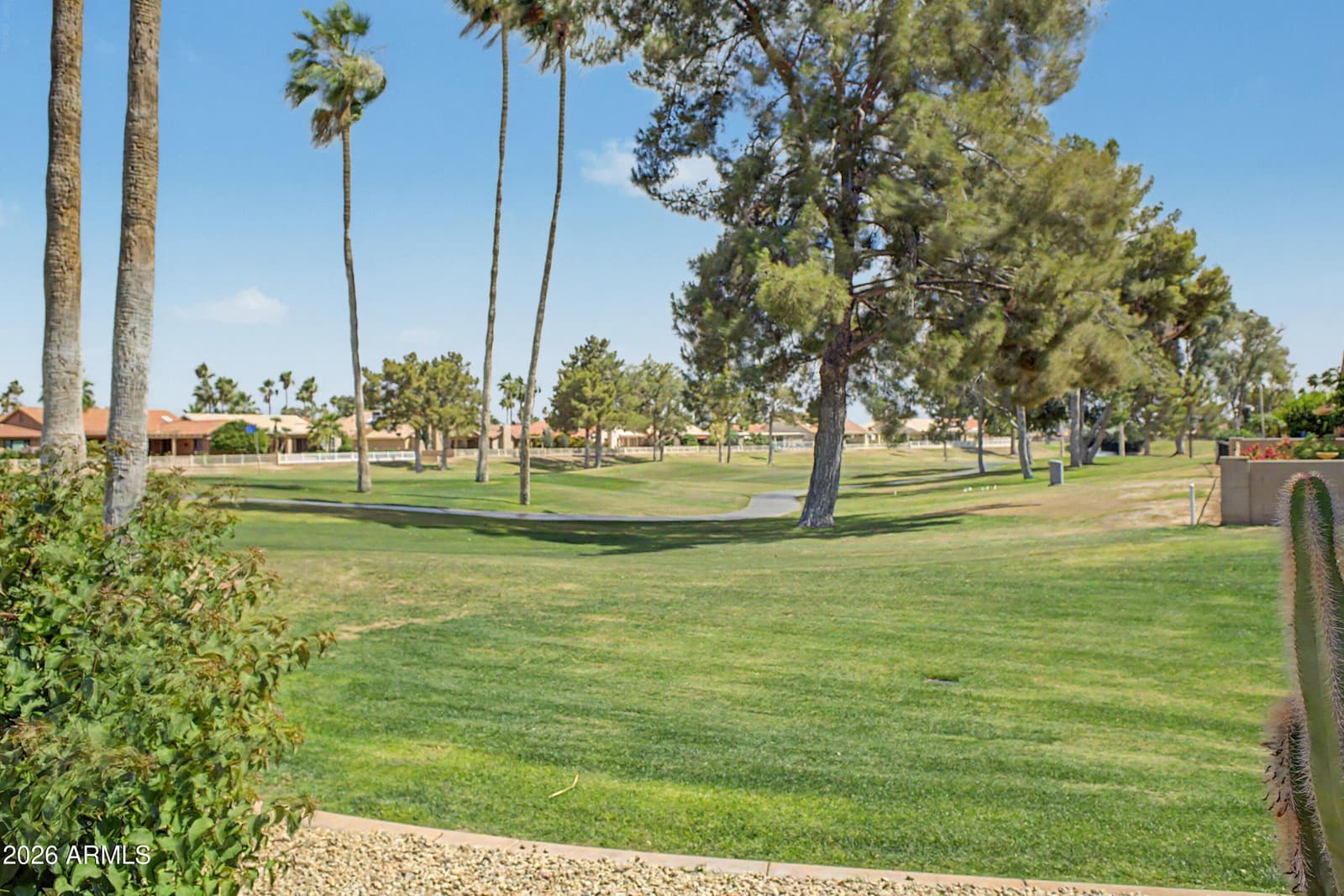 26430 S RIBBONWOOD Drive, Sun Lakes, AZ 85248 — photo 33 of 37