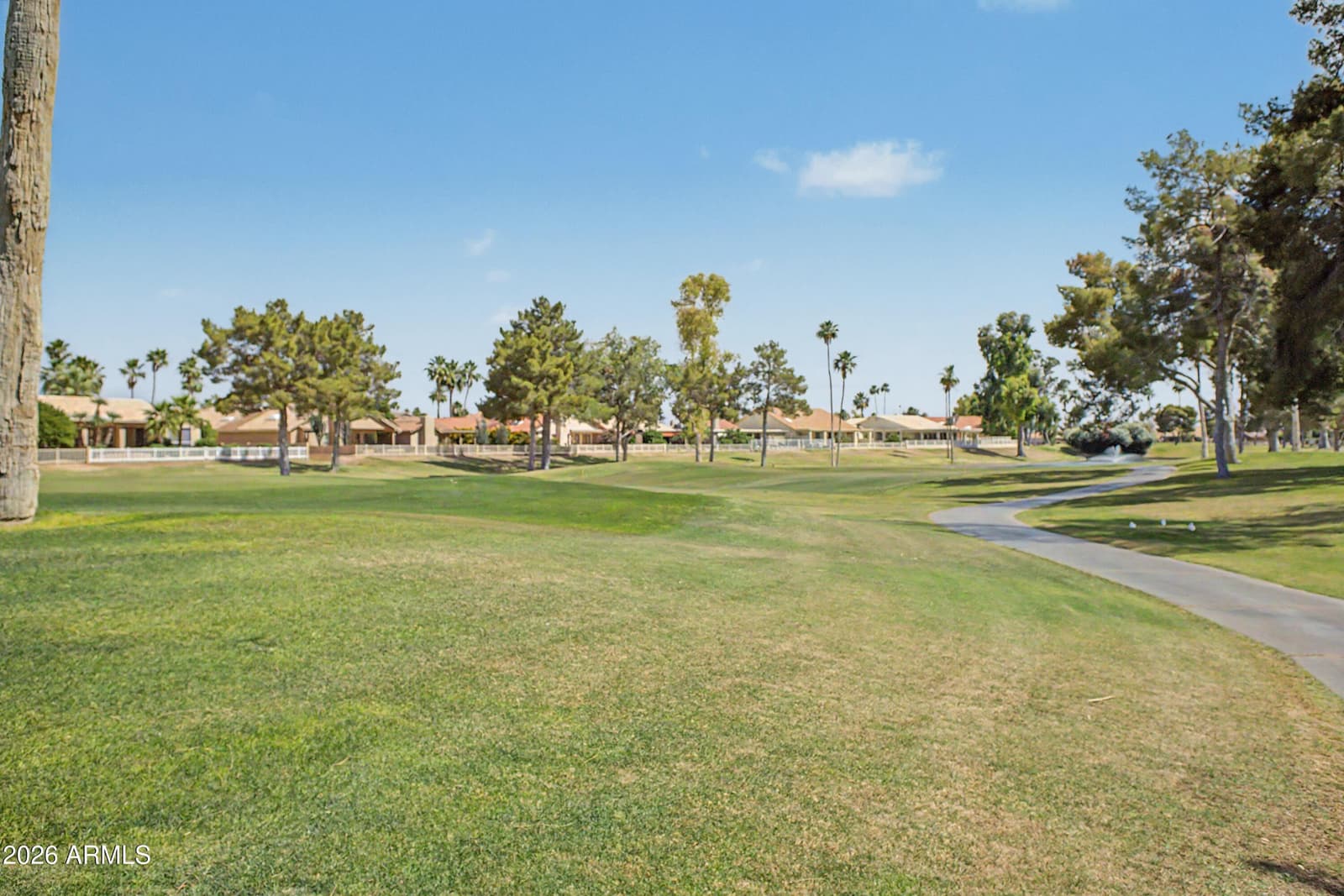 26430 S RIBBONWOOD Drive, Sun Lakes, AZ 85248 — photo 34 of 37