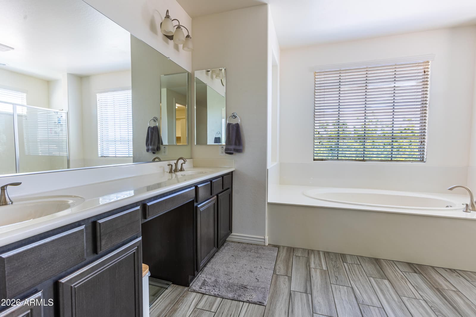 2818 E ODESSA Street, Mesa, AZ 85213 — photo 16 of 21