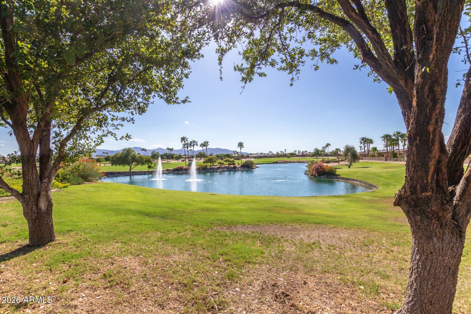 16110 W Desert Winds Drive, Surprise, AZ 85374 — photo 61 of 69