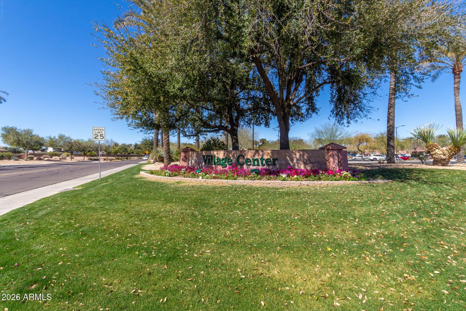 16110 W Desert Winds Drive, Surprise, AZ 85374 — photo 67 of 69