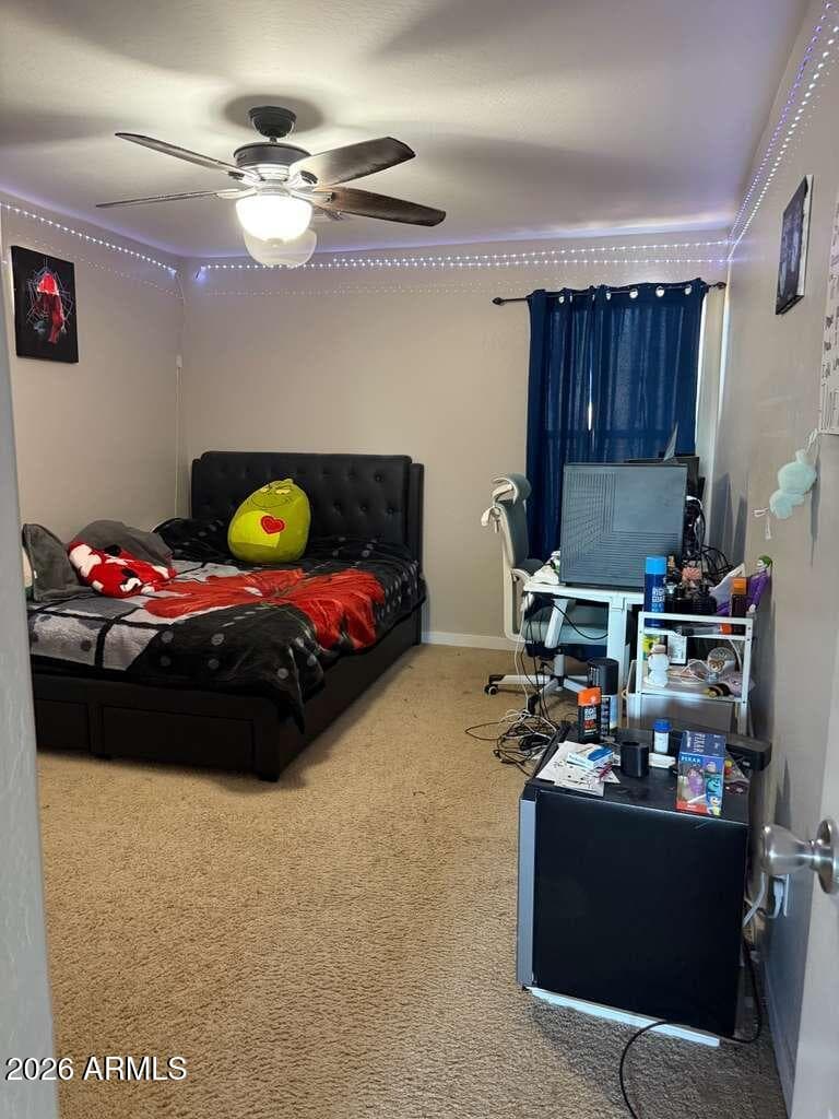 10347 W ODEUM Lane, Tolleson, AZ 85353 — photo 14 of 29
