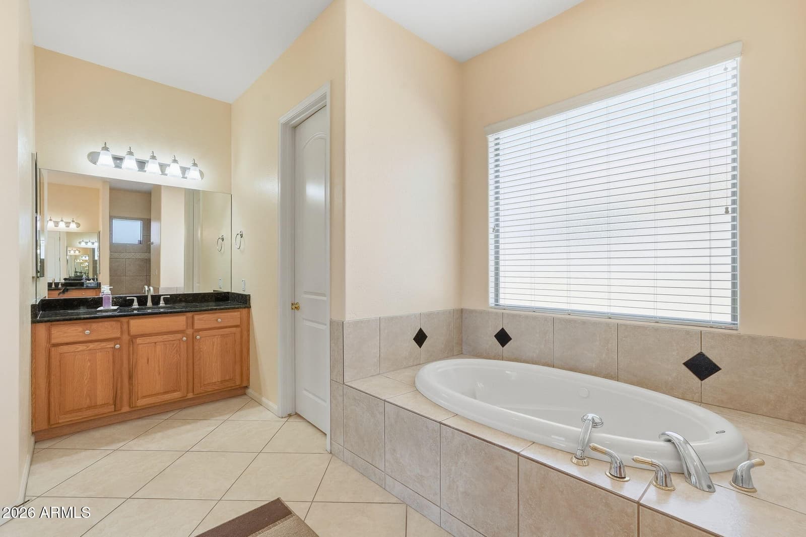 3826 N RAIN CLOUD Drive, Apache Junction, AZ 85119 — photo 54 of 89