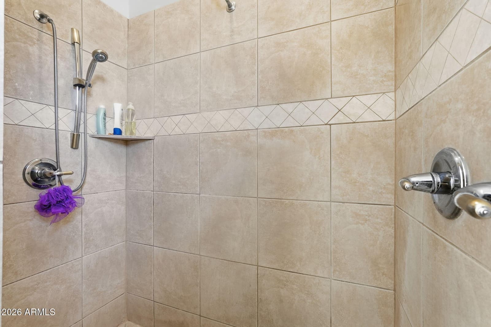 3826 N RAIN CLOUD Drive, Apache Junction, AZ 85119 — photo 57 of 89