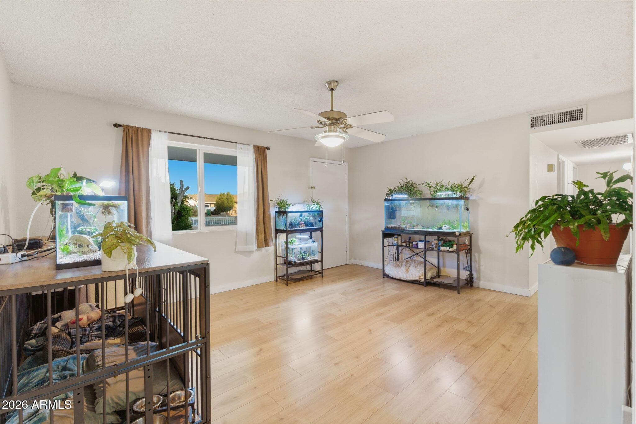 714 S WILLIAMS, Mesa, AZ 85204 — photo 17 of 47