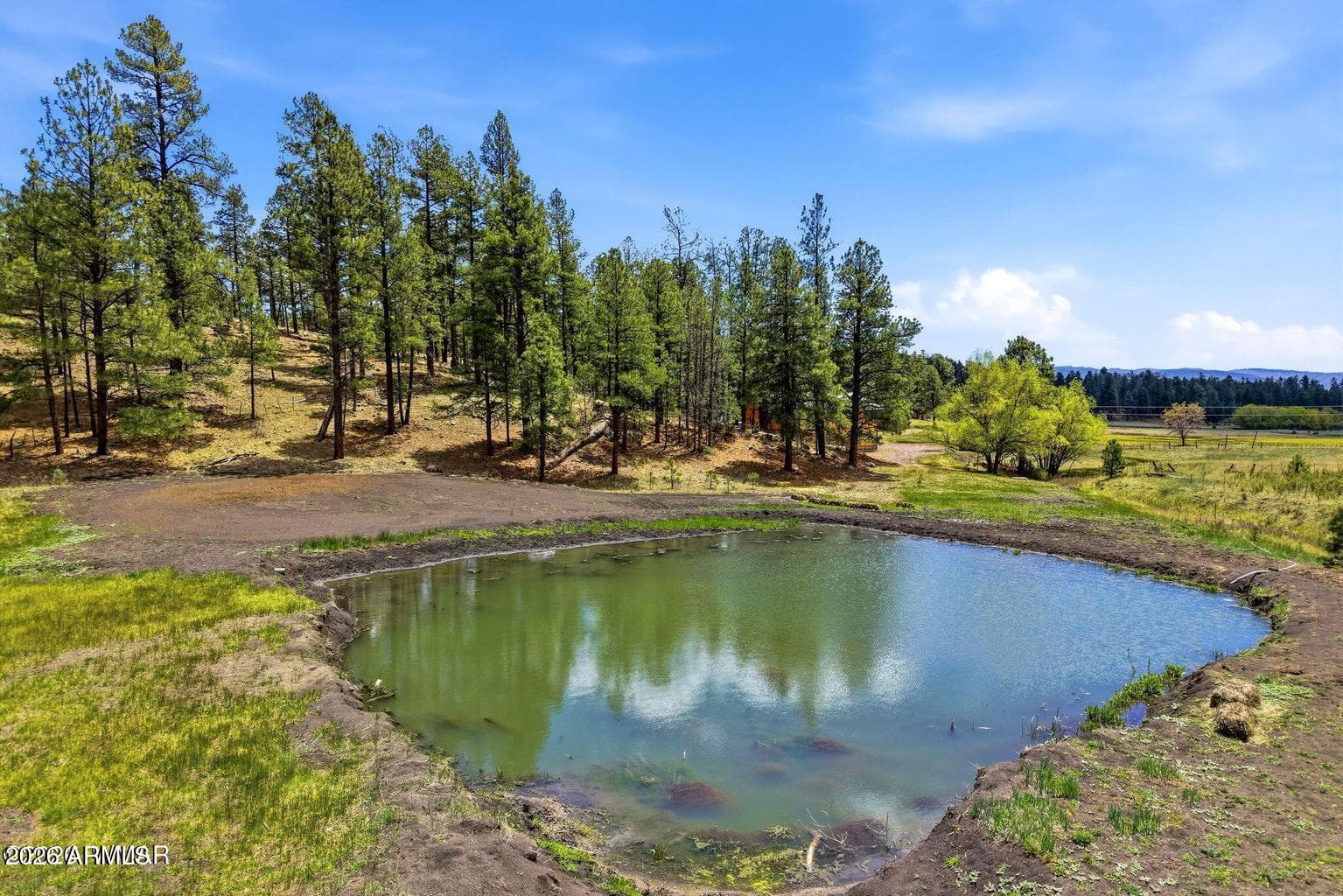 28 COUNTY ROAD 2310, Alpine, AZ 85920 — photo 41 of 56