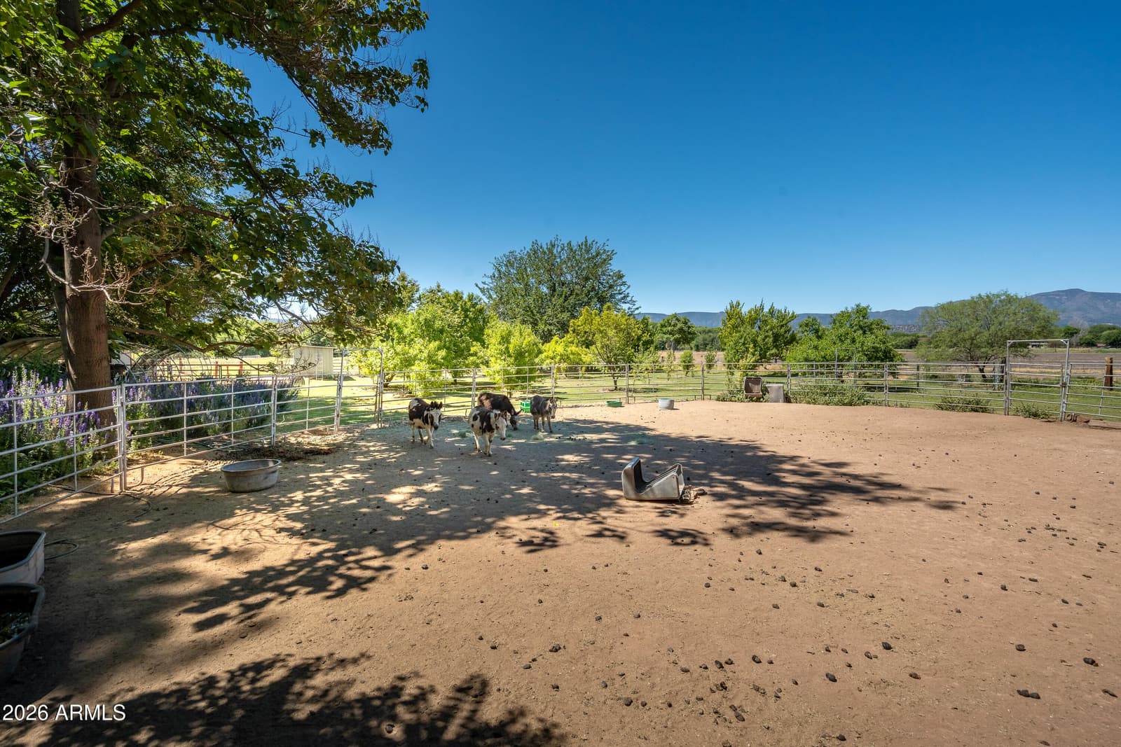 2933 W MIDDLE VERDE Road, Camp Verde, AZ 86322 — photo 50 of 71